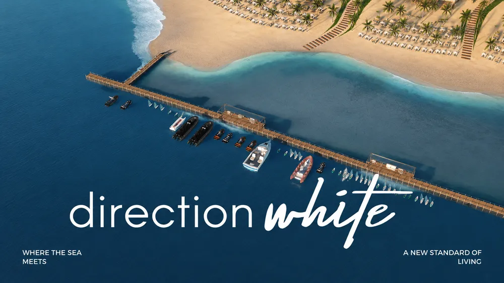 Direction White image 1