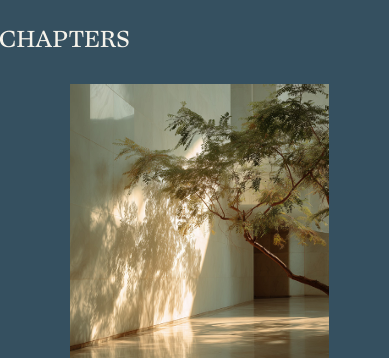 chapters image 1
