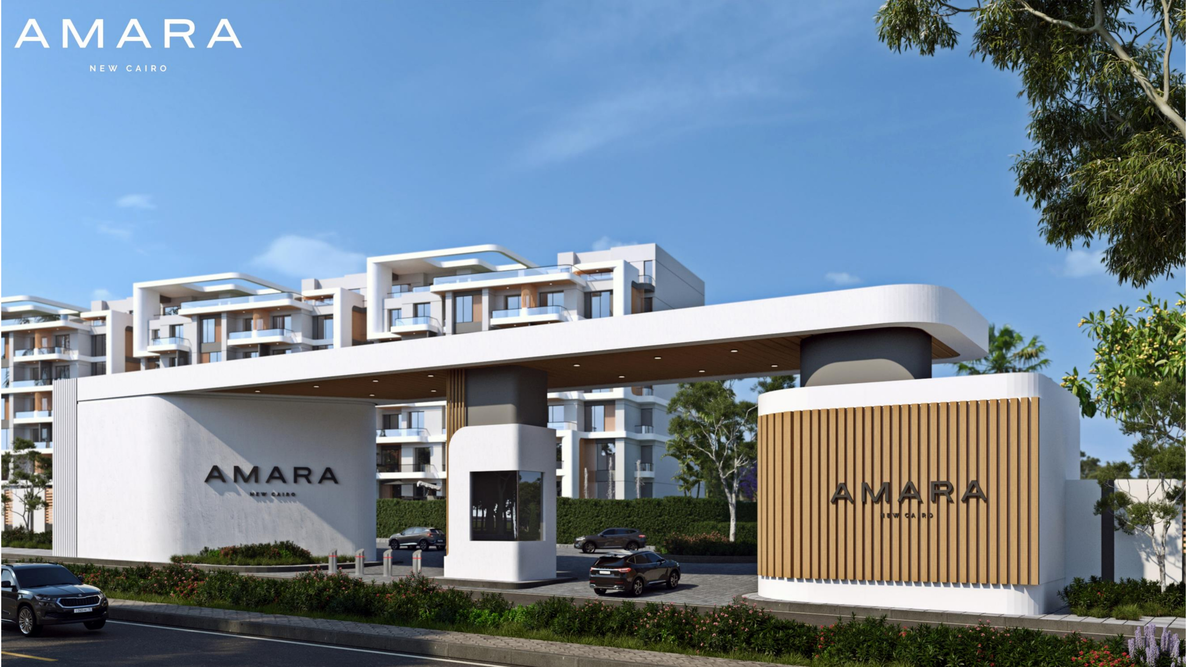 Amara image 3
