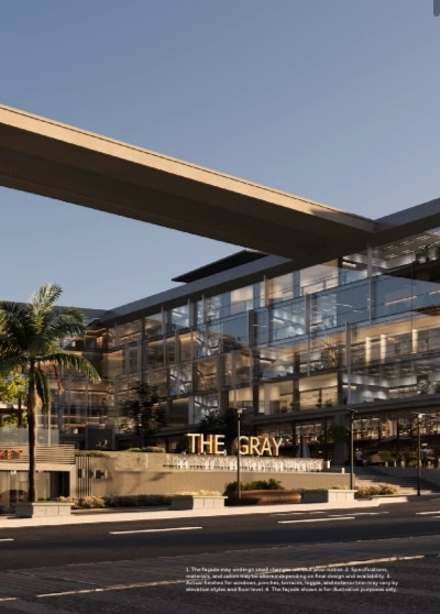 The Gray image 1