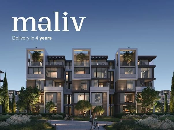maliv image 1