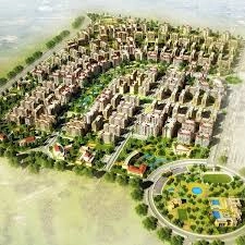 Degla Palms image 2