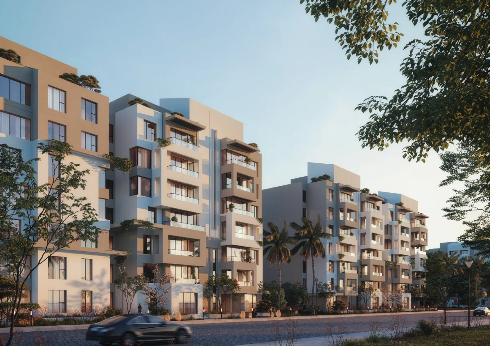 Rosail image 4
