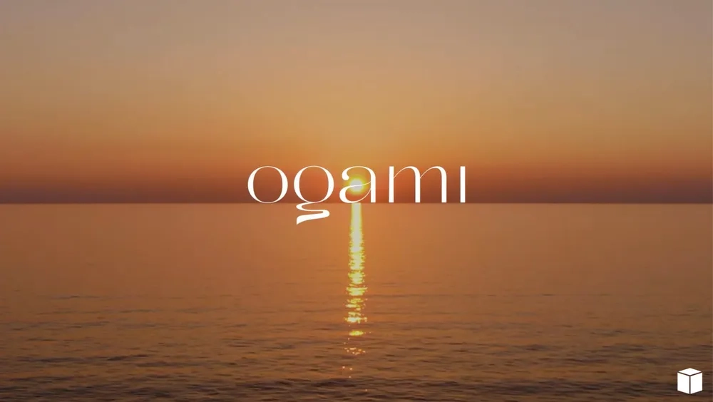 OGAMI image 3