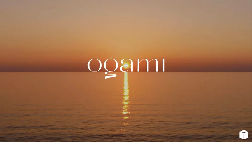 OGAMI image 1