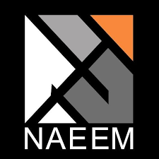 Naeem Holding logo